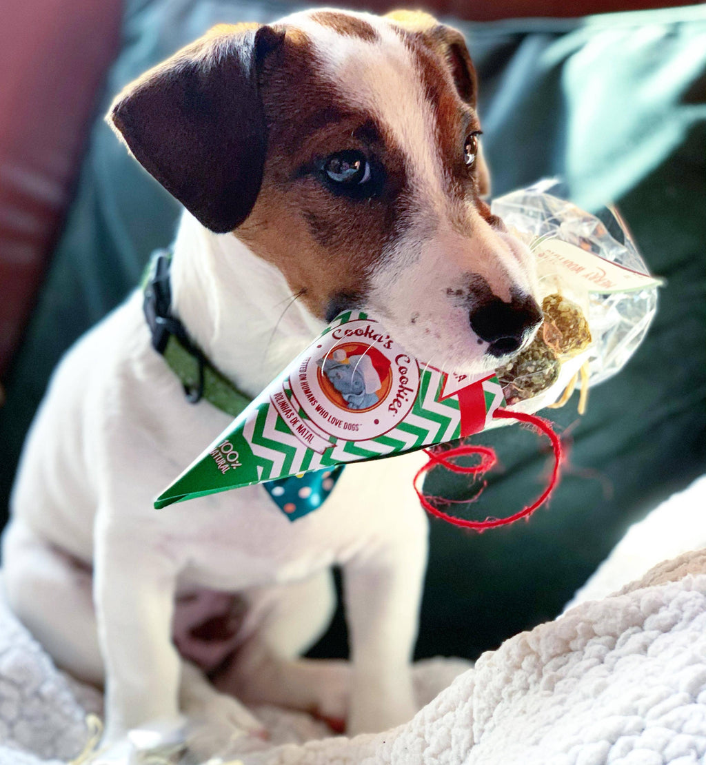 Cooka's Cookies - Julekugler - Oksekød - Natural Dog