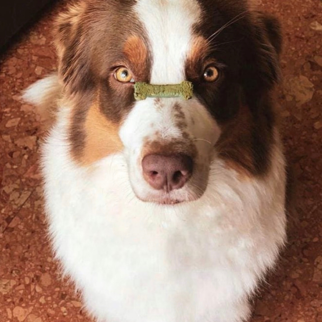 Cooka's Cookies - Porto Spirit - Naturlige hundegodbidder med superfoods