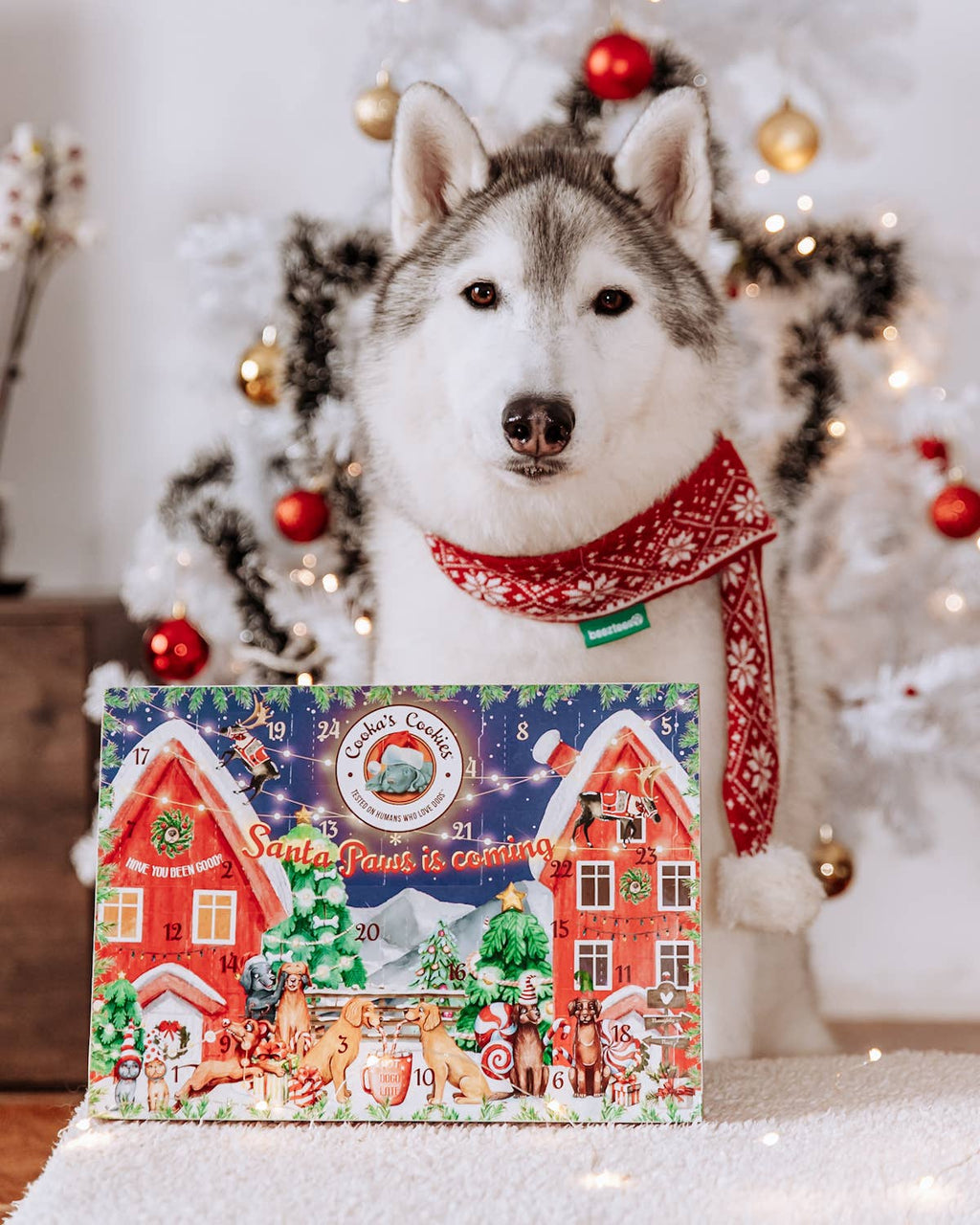 Cooka's Cookies - Juleadventskalender til hunde (Premium Edition)