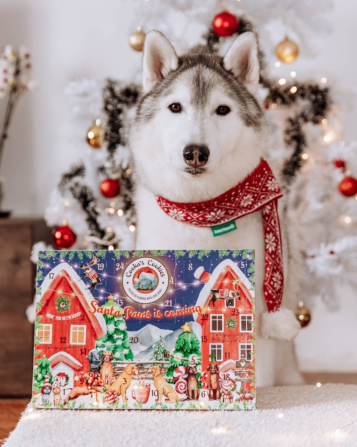 Cooka's Cookies - Juleadventskalender til hunde (Premium Edition)