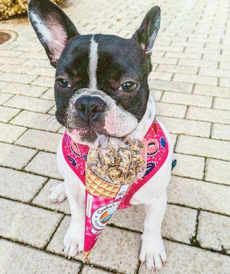 Cooka's Cookies - Beijinhos de Vaca - sprøde og naturlige oksekødsgodbidder til hunde