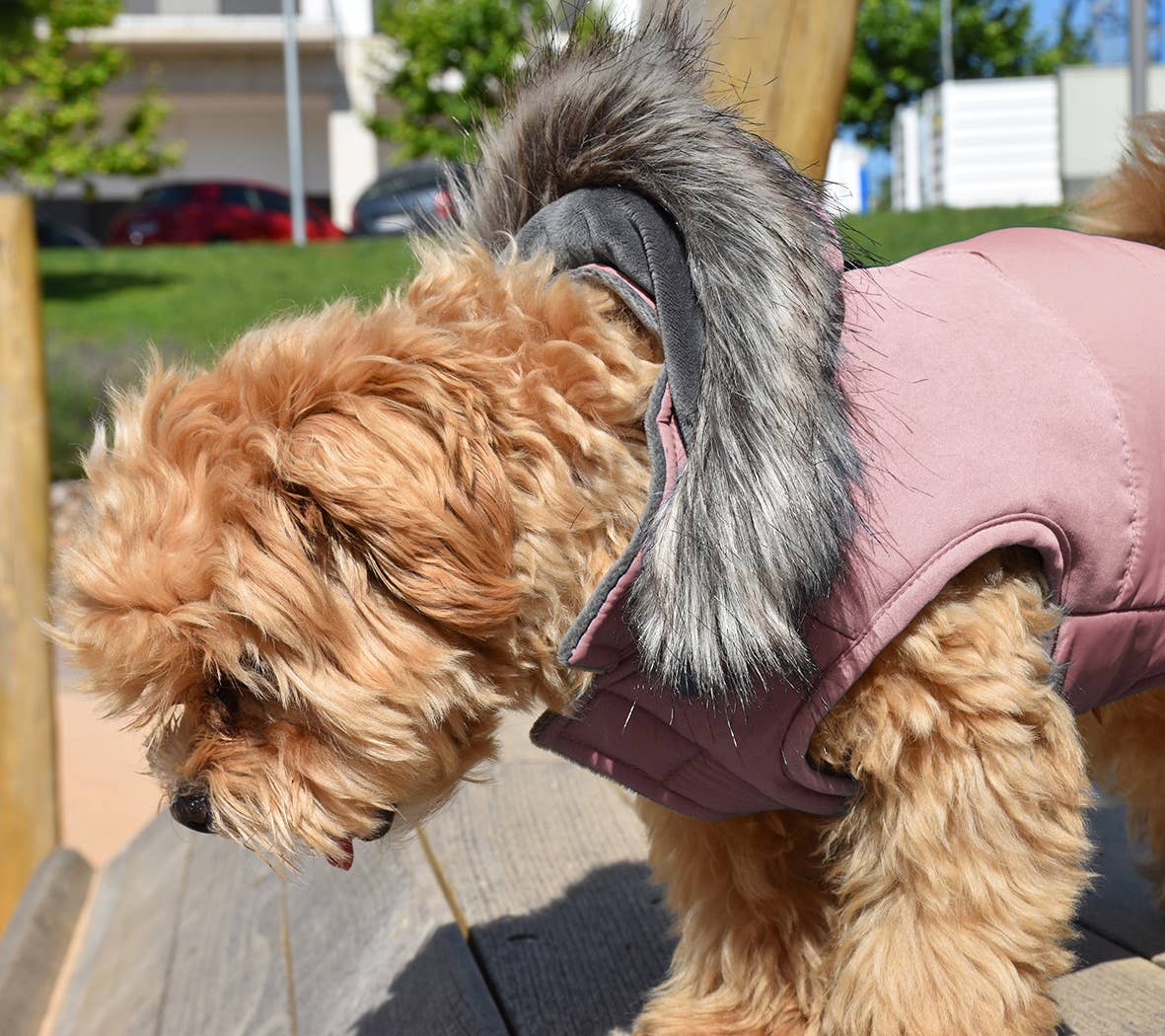 Nayeco - Rosa Canada Hættetrøje