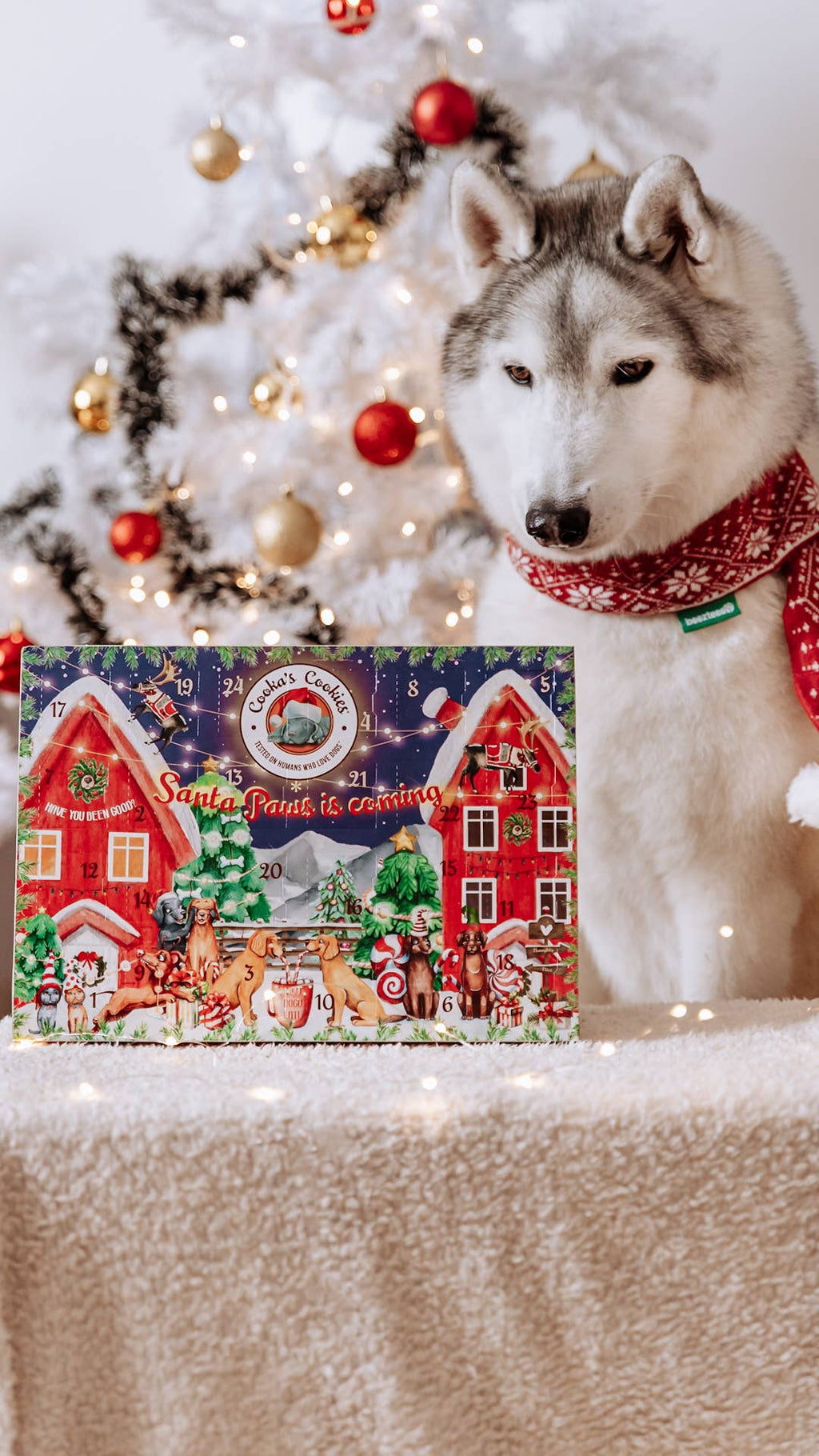 Cooka's Cookies - Juleadventskalender til hunde (Premium Edition)