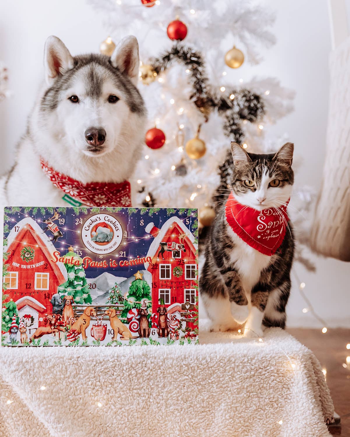 Cooka's Cookies - Juleadventskalender til hunde (Premium Edition)