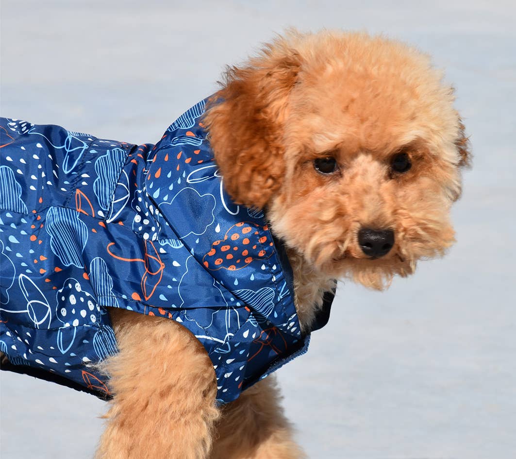 Nayeco - Blå vendbar regnfrakke