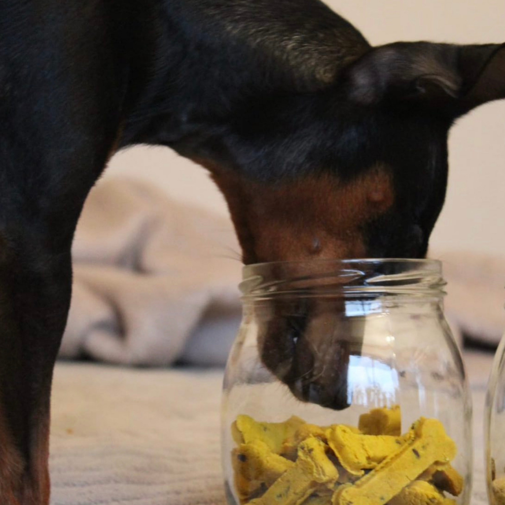 Cooka's Cookies - Sintra Bliss - Naturlige hundegodbidder med superfoods