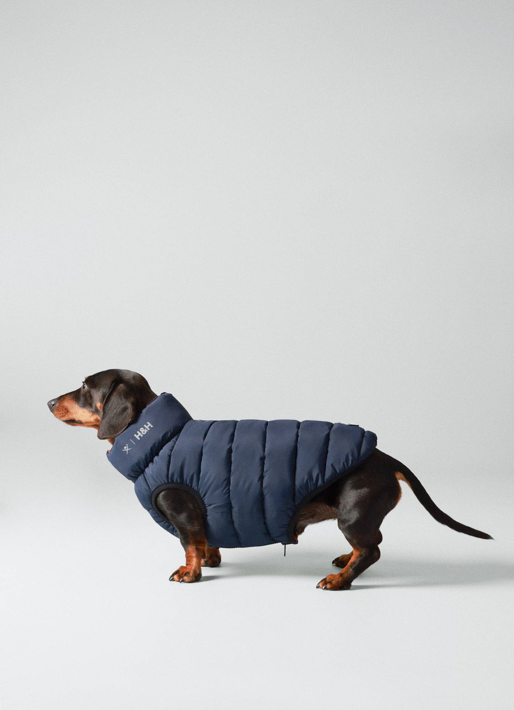 Hugo & Hudson - Hackett x Hugo Hudson Pufferjakke til hunde - Navy & Berry