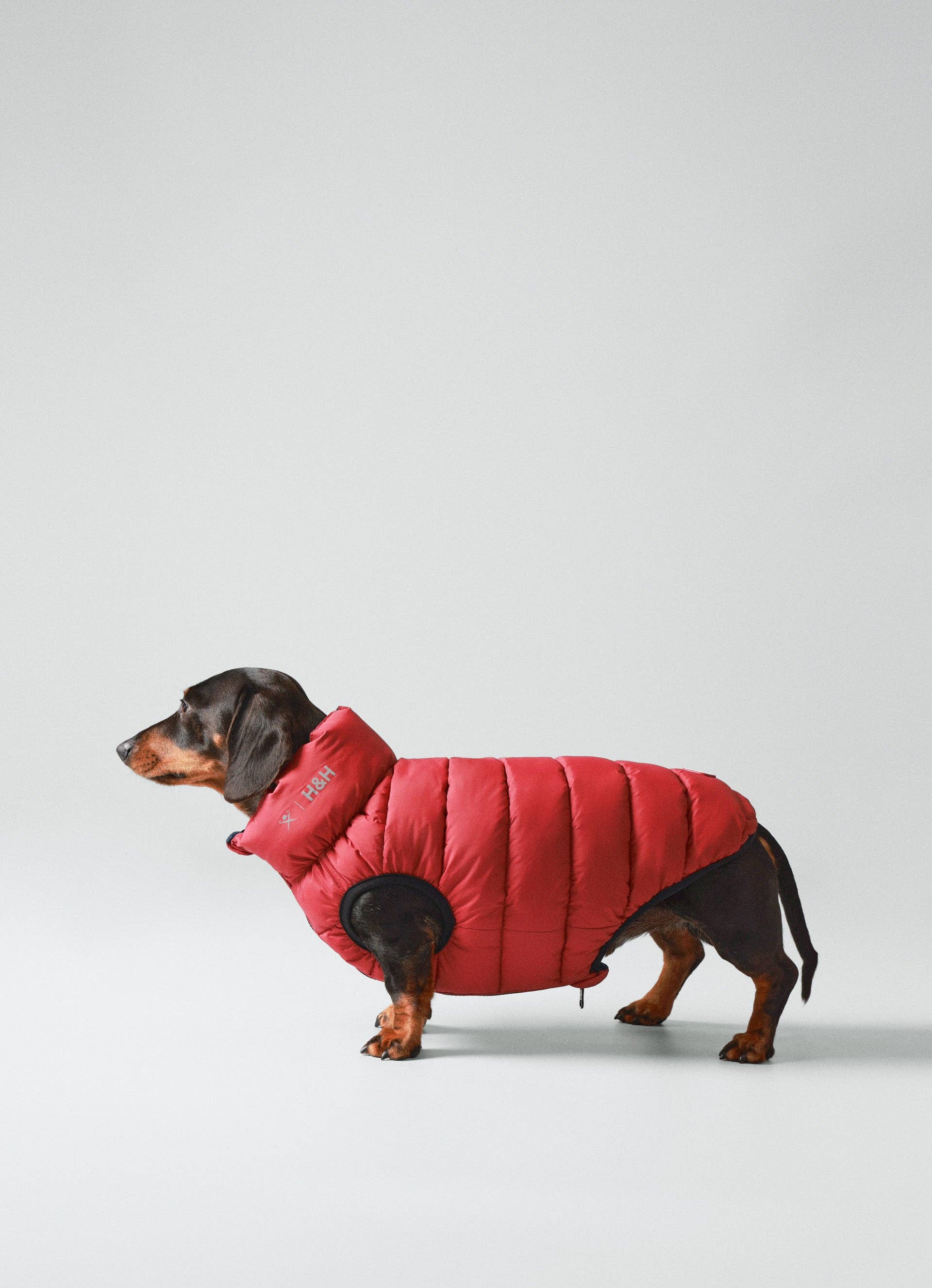 Hugo & Hudson - Hackett x Hugo Hudson Pufferjakke til hunde - Navy & Berry
