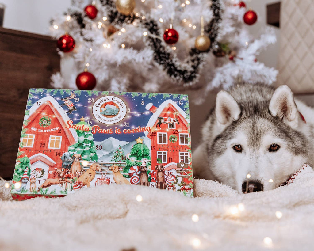 Cooka's Cookies - Juleadventskalender til hunde (Premium Edition)