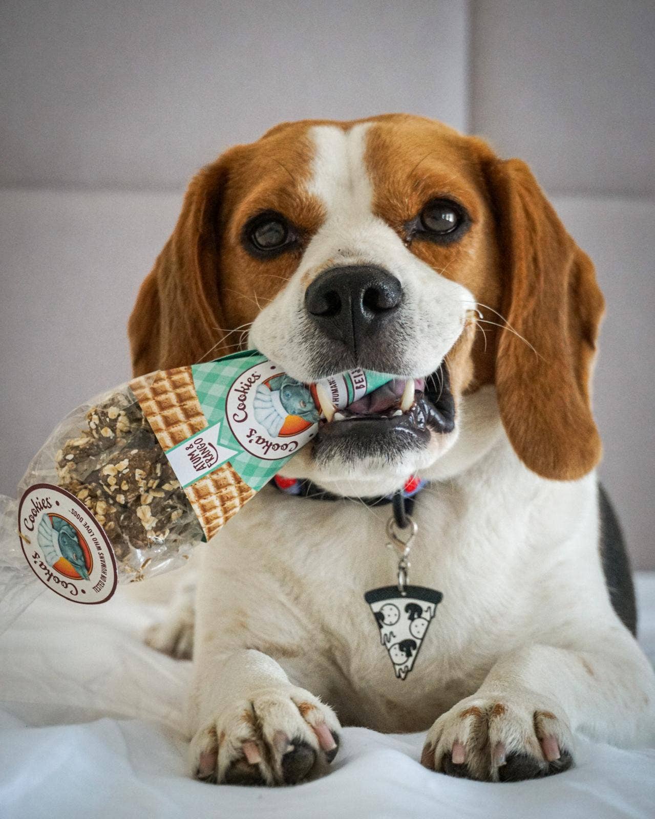 Cooka's Cookies - Beijinhos - Knasende og naturlige kylling- og tunhundegodbidder