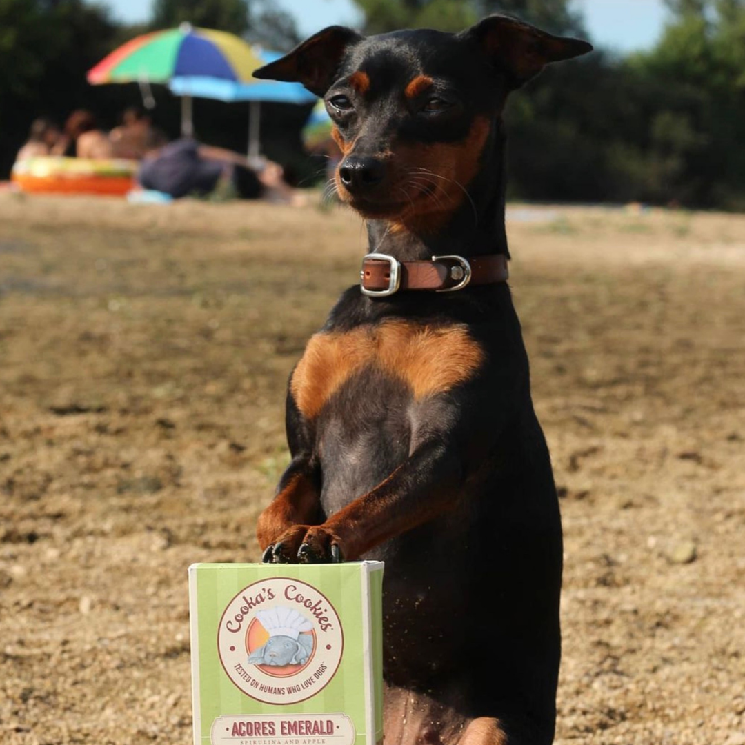 Cooka's Cookies - Porto Spirit - Naturlige hundegodbidder med superfoods