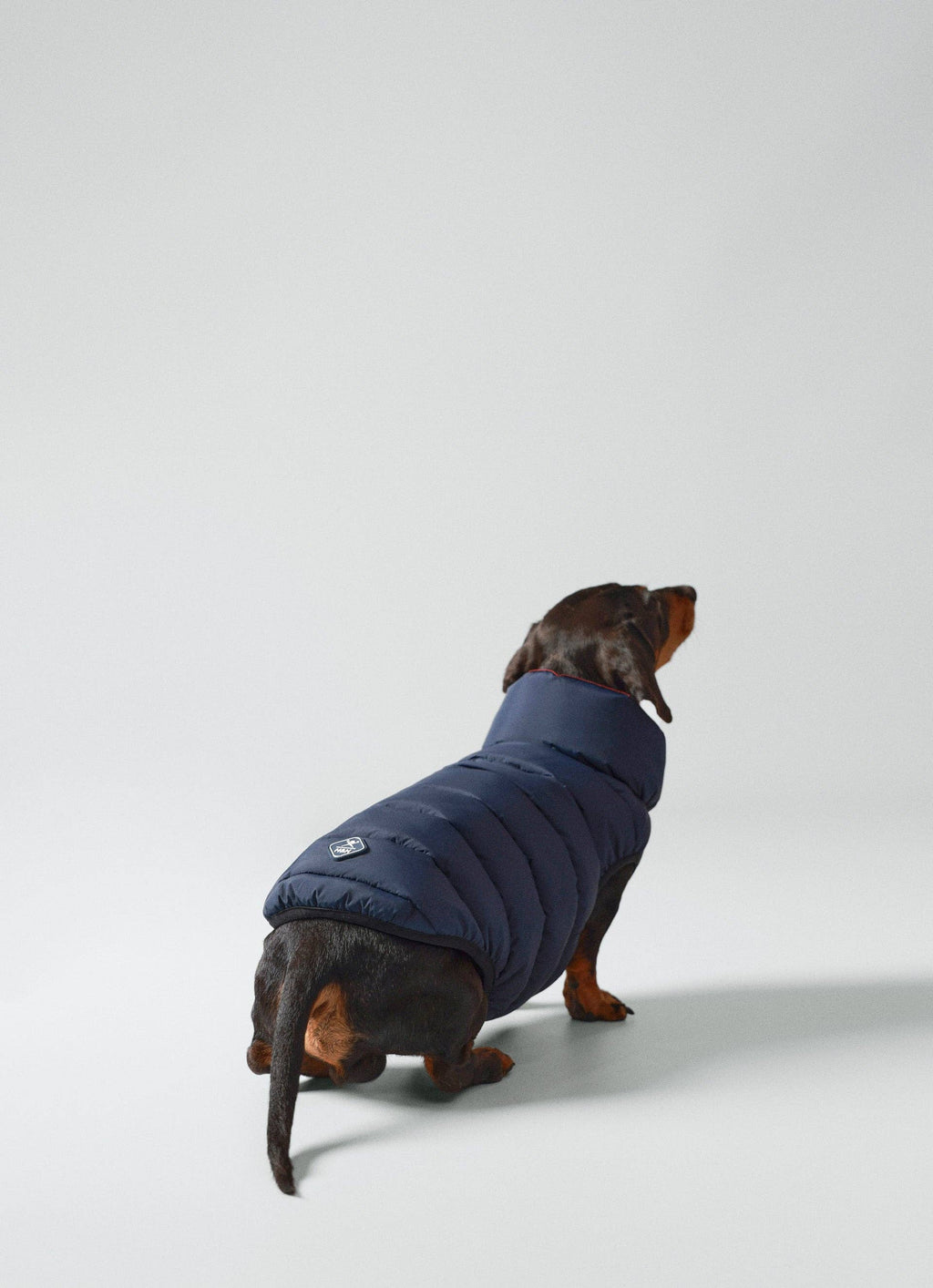 Hugo & Hudson - Hackett x Hugo Hudson Pufferjakke til hunde - Navy & Berry