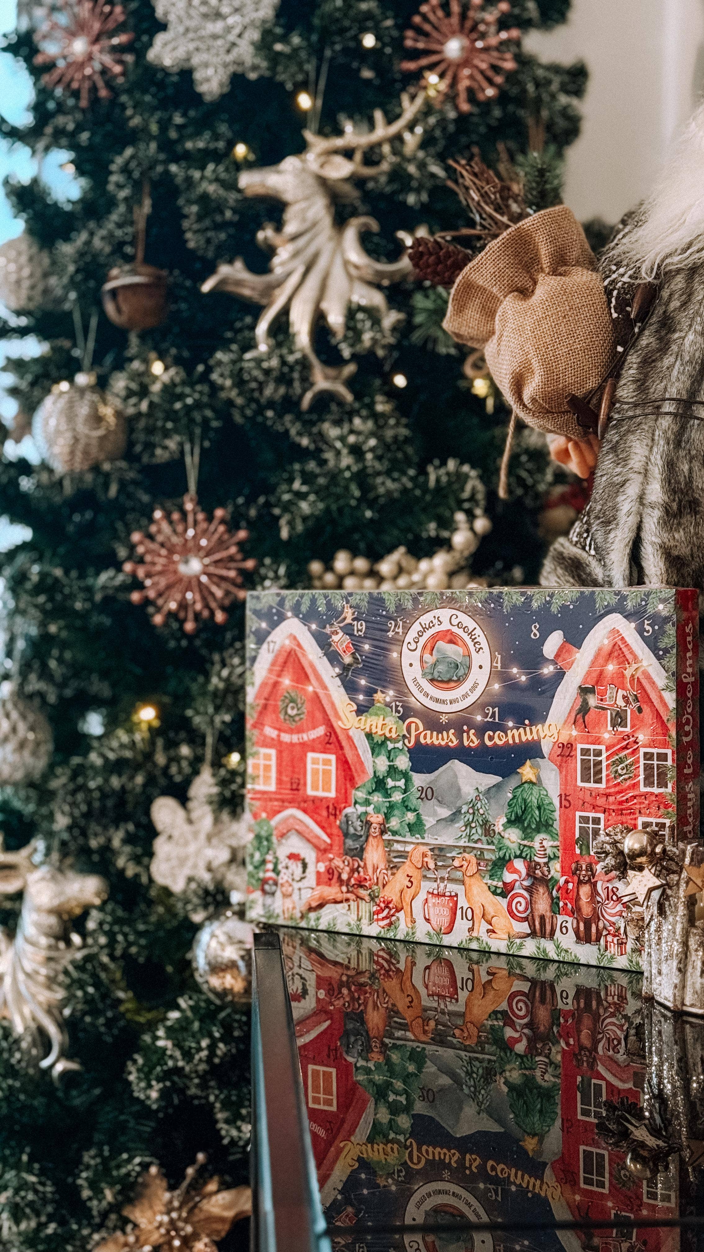 Cooka's Cookies - Juleadventskalender til hunde (Premium Edition)