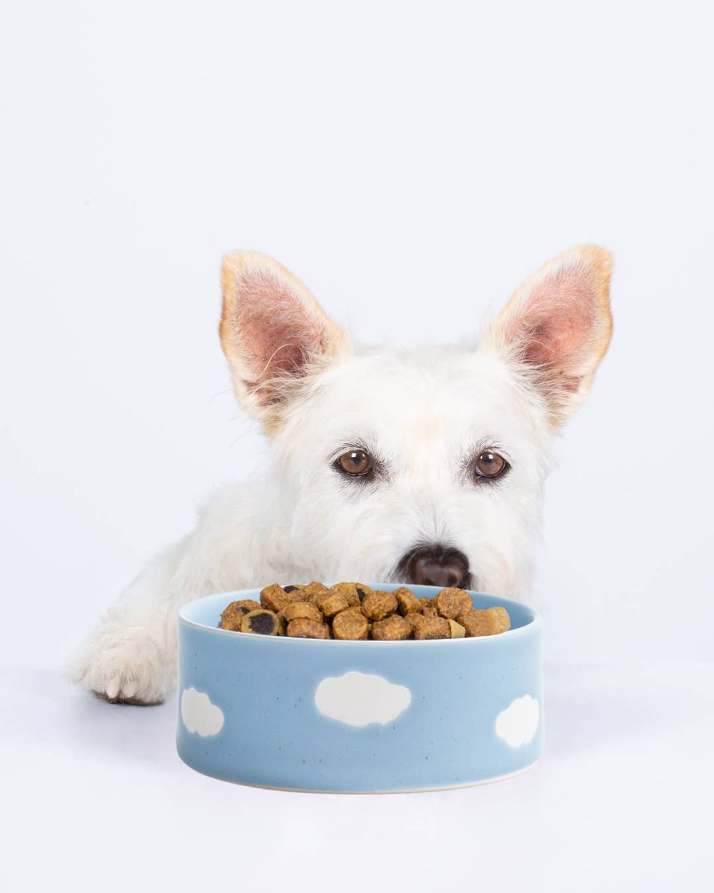 Egg Back Home - Cloud Pet Skål 14cm Sæt