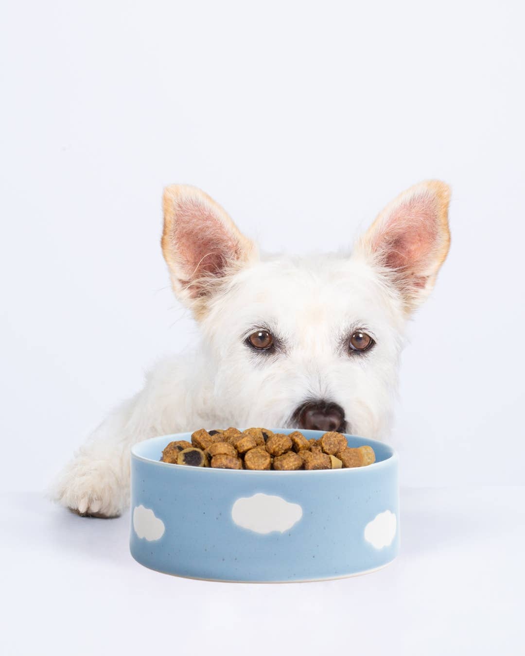 Egg Back Home - Cloud Pet Skål 14cm Sæt