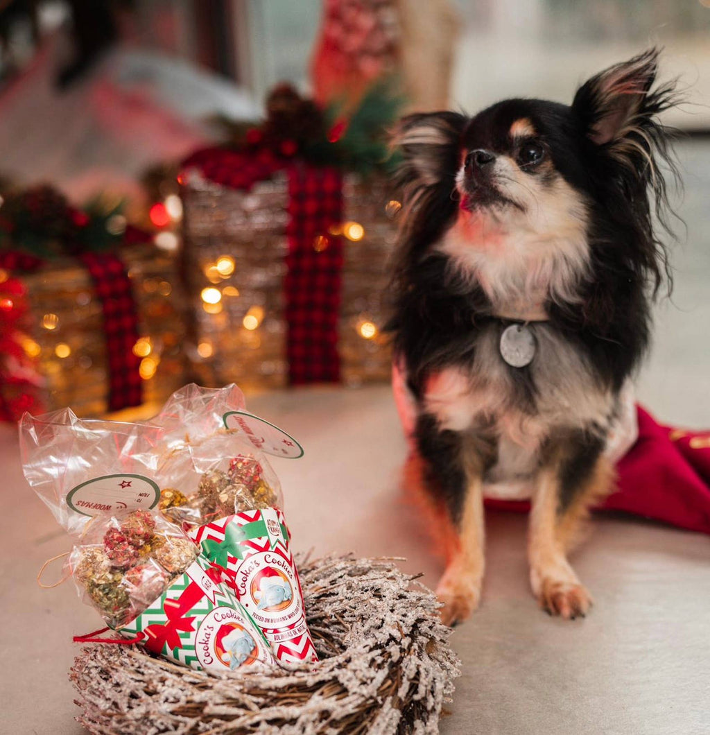 Cooka's Cookies - Julekugler - Kylling & Tun - Naturlige hundebehandlinger