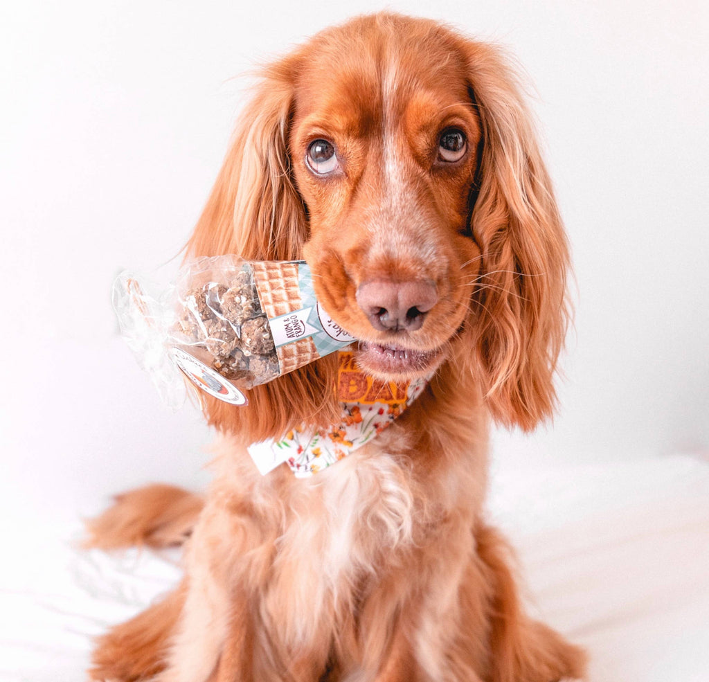 Cooka's Cookies - Beijinhos - Knasende og naturlige kylling- og tunhundegodbidder