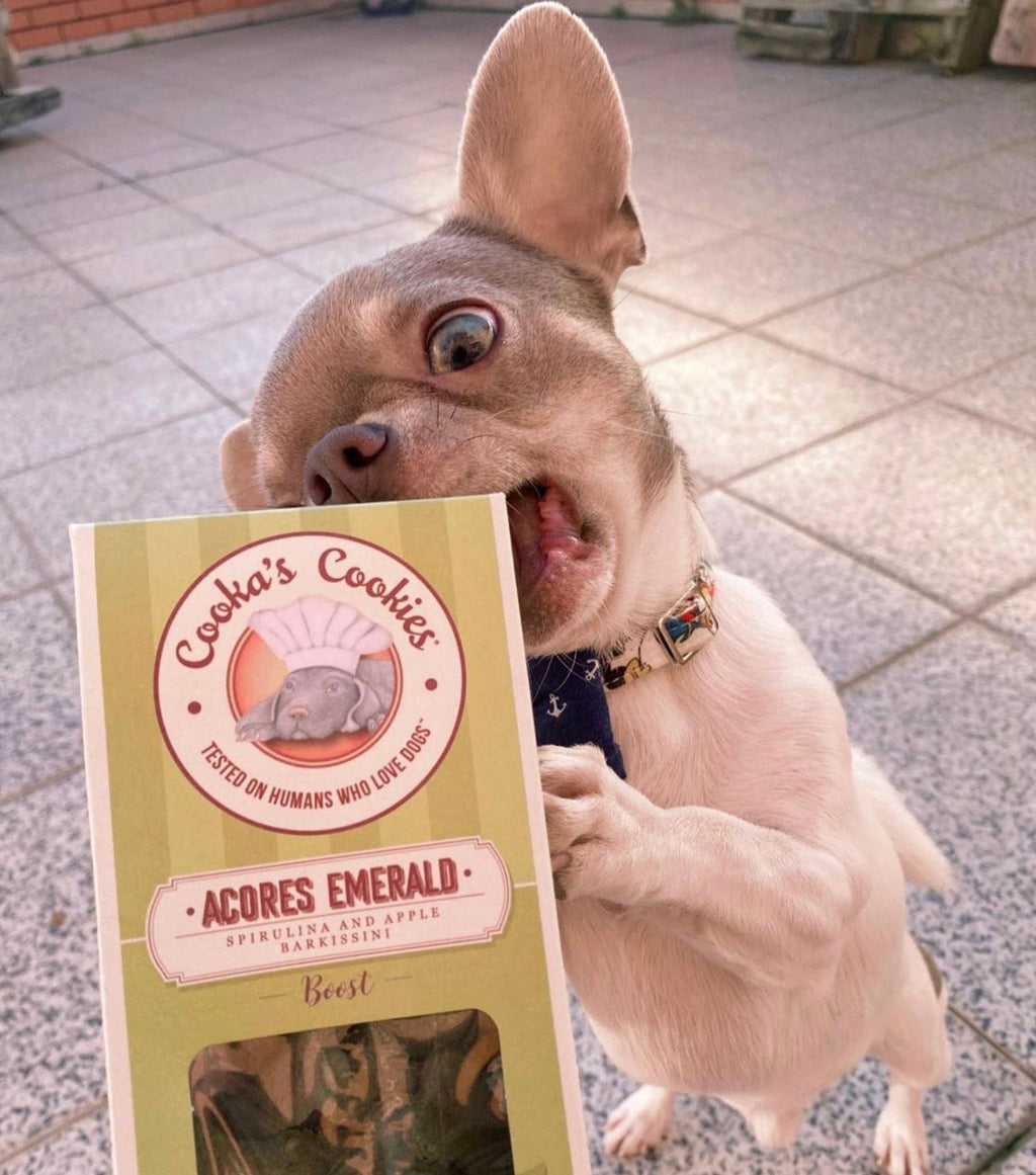 Cooka's Cookies - Porto Spirit - Naturlige hundegodbidder med superfoods