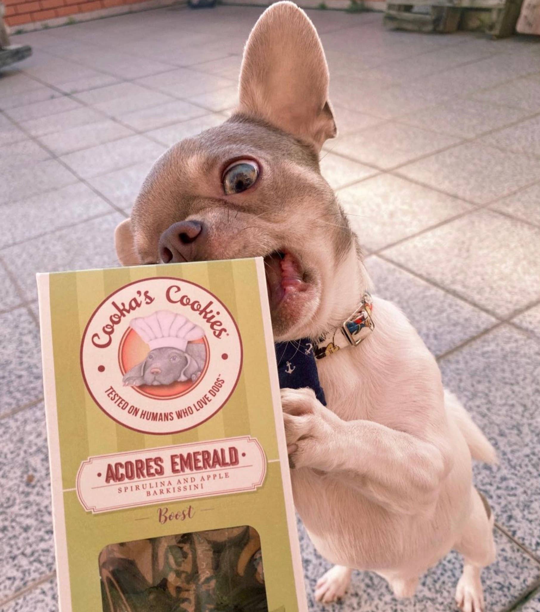 Cooka's Cookies - Porto Spirit - Naturlige hundegodbidder med superfoods