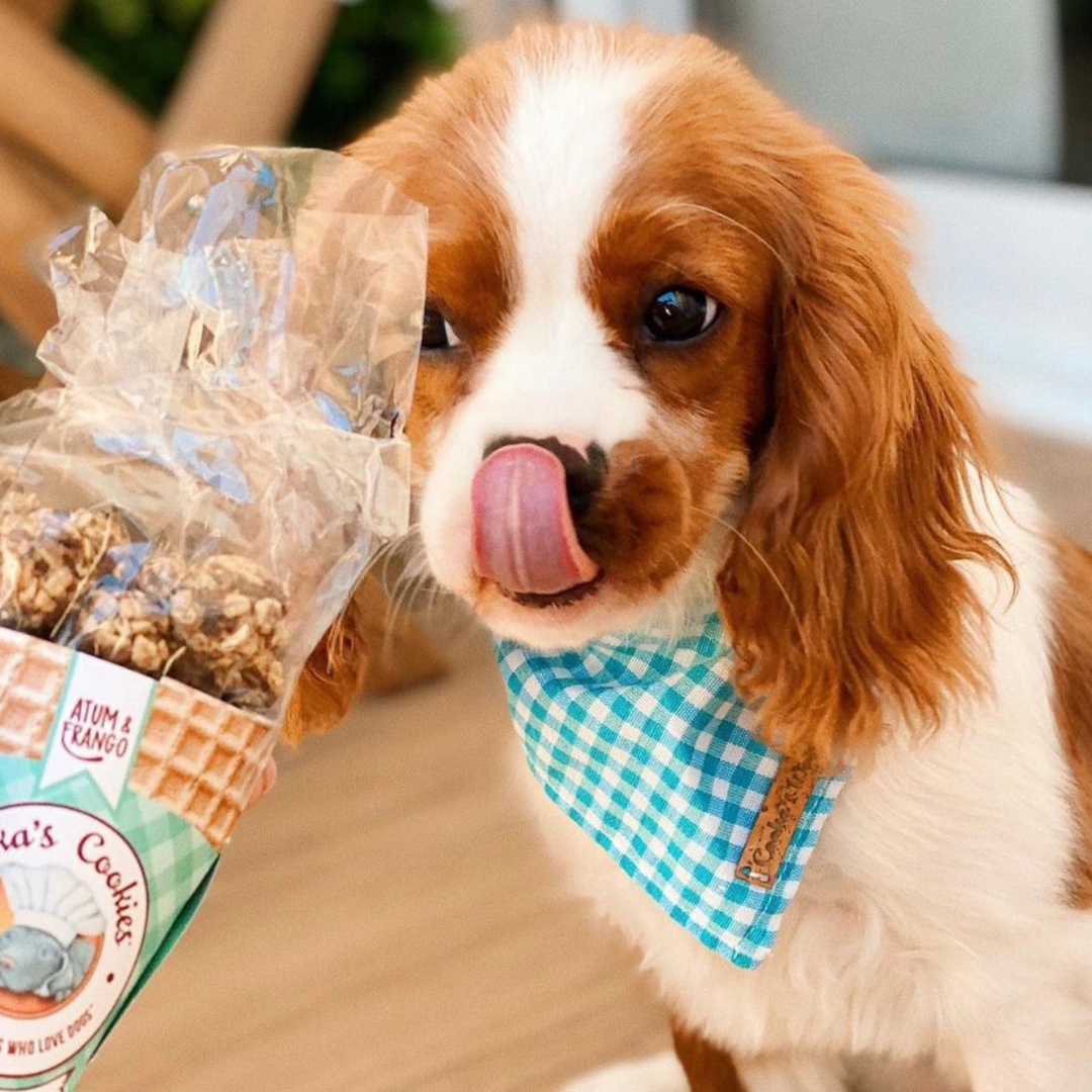 Cooka's Cookies - Beijinhos - Knasende og naturlige kylling- og tunhundegodbidder
