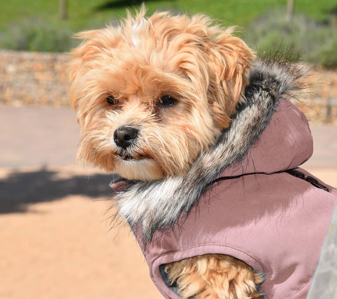 Nayeco - Rosa Canada Hættetrøje